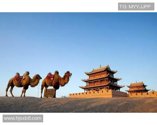 布莱克尼的魅力探秘：探索这座城市的历史与文化之旅