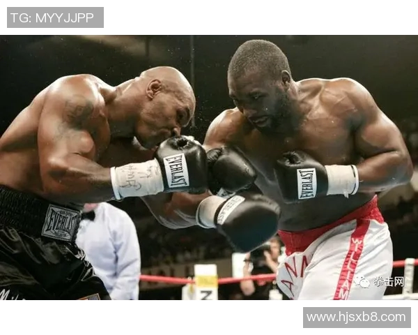 泰森与罗伊琼斯对决奖金揭秘引发拳击界热议