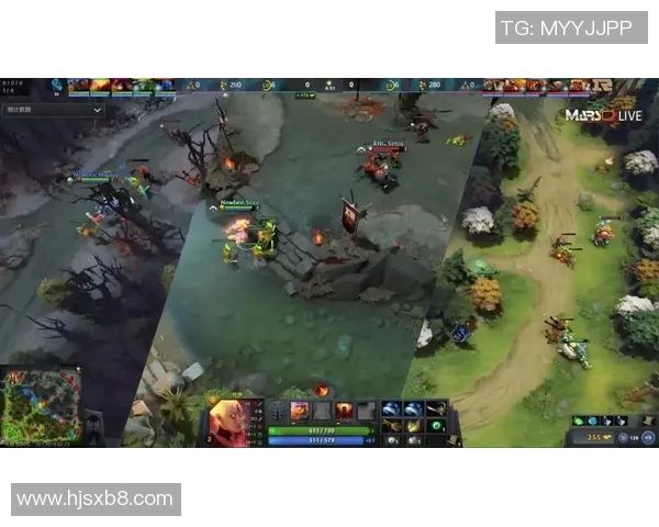 RNG在DOTA2比赛中的区域防守策略分析与成效评估